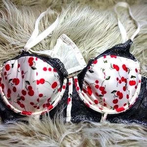 Cherry Print Plus Size Bra